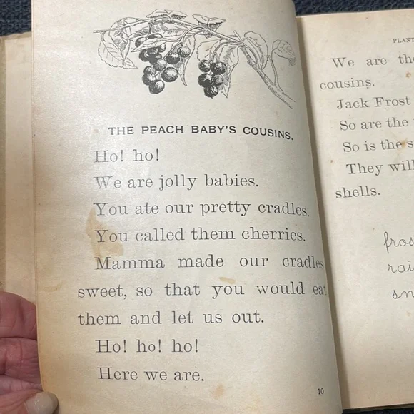 First Edition (1898) “Plant Babies and Their Cradles”, Educational Pub. Co. - Picture 7 of 15